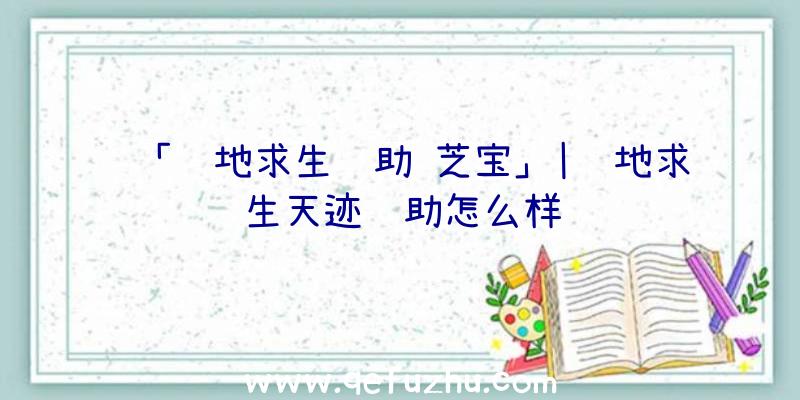 「绝地求生辅助